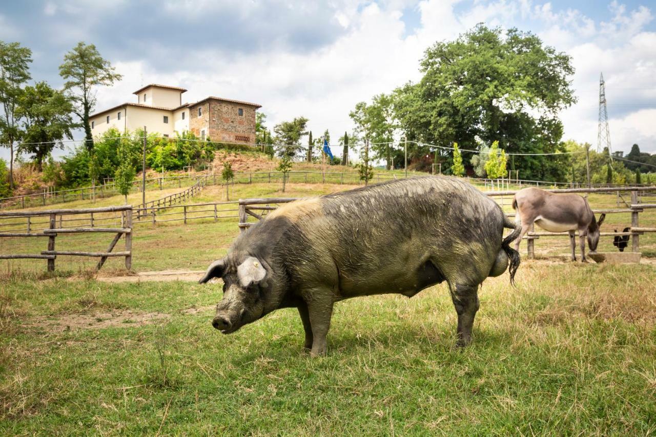 Villa Palagina La Cascina Figline Valdarno Exterior foto